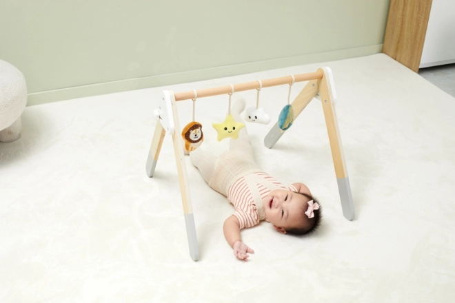 Wooden Baby Gym With Toys