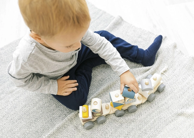 Wooden Train Toy for Kids