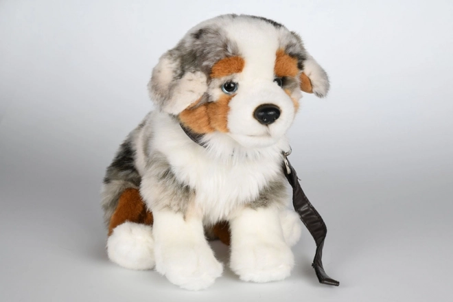 Plush Australian Shepherd with Leash