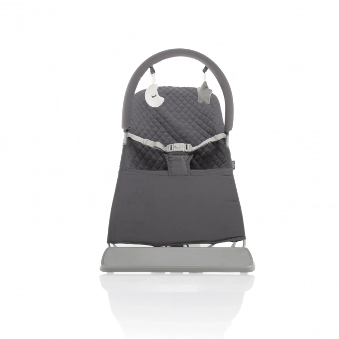 Baby Rocker Siesta in Diamond Grey