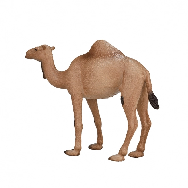 Realistic Dromedary Camel Figure