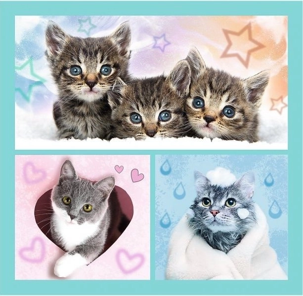 Sweet Animal Kittens Jigsaw Puzzle