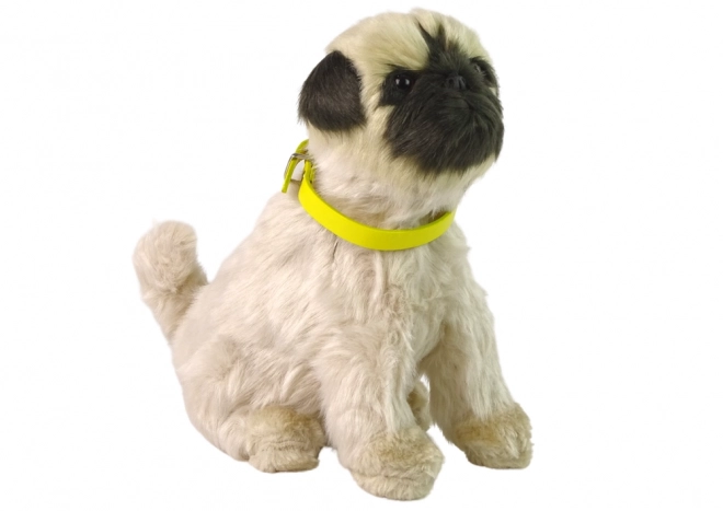 Interactive Plush Pug Dog