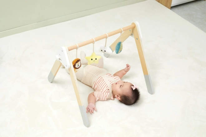 Wooden Baby Gym With Toys