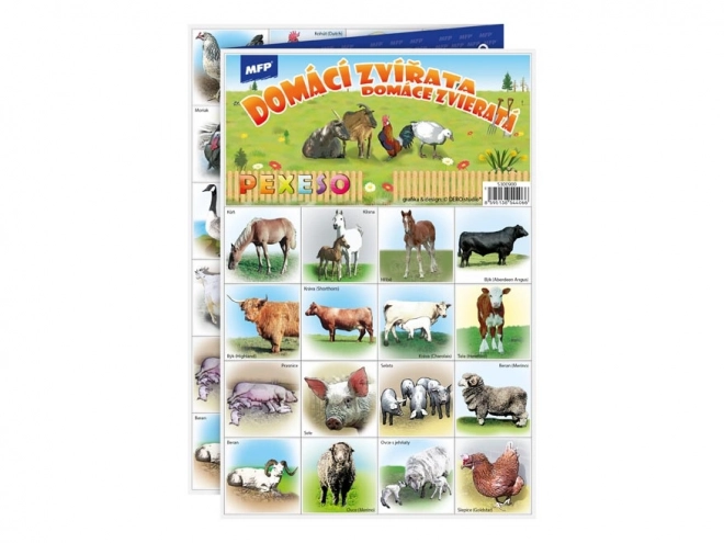 Matching Game with Farm Animals