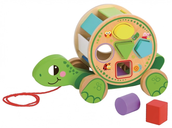 Pull Along Turtle Toy