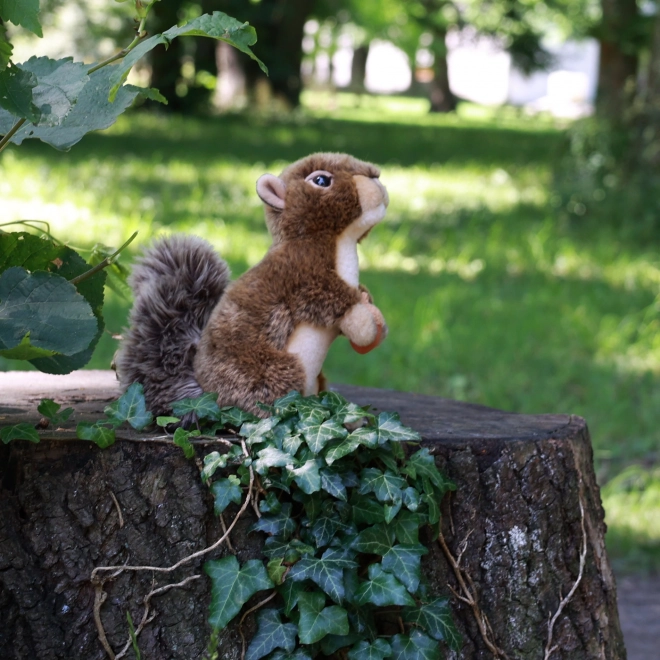 eco-friendly plush squirrel with nut