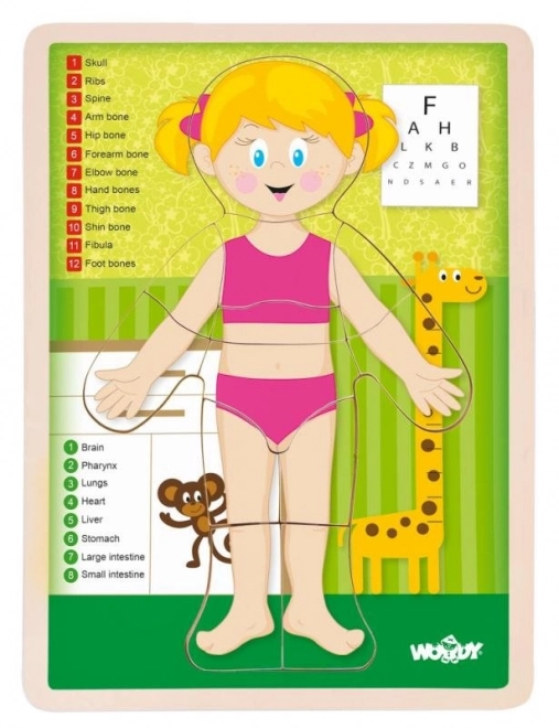 Wooden Double-sided Puzzle Human Body - Girl