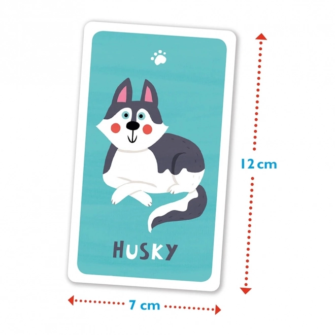 Dog Quartet Card Game by Magellan