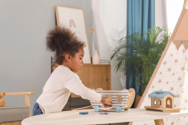 Wooden Noah's Ark Shape Sorter