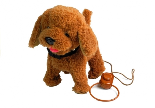 Interactive Brown Poodle Toy on a Leash