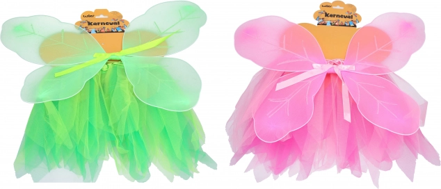 Carnival butterfly set for children