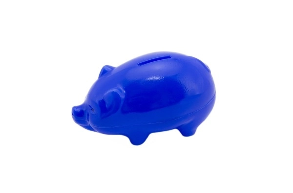 Large Piggy Bank