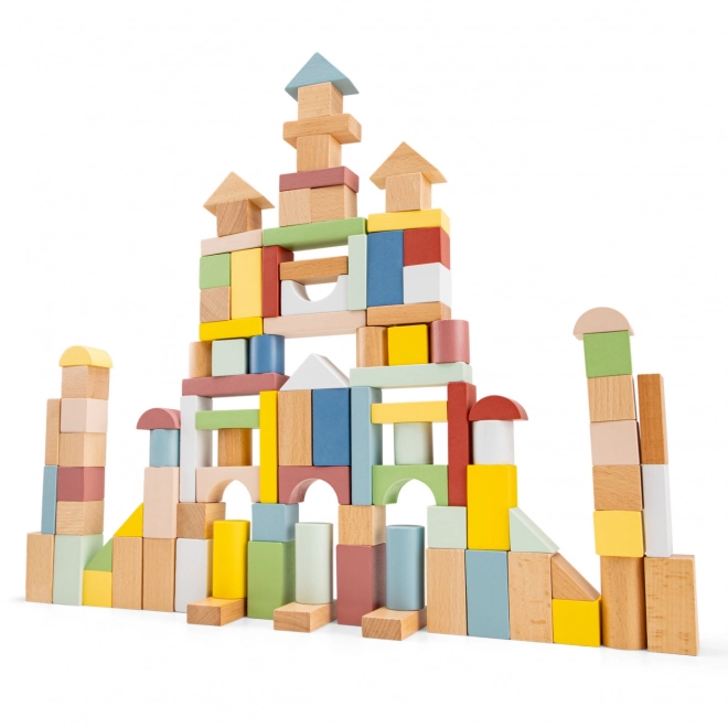 Wooden Building Blocks Set - 100 Pieces