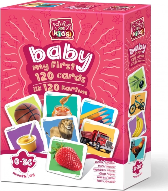 Art Kids Baby First Flashcards Set