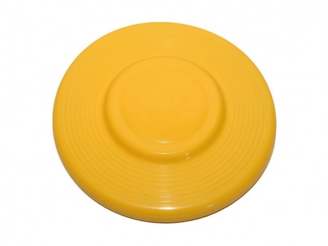 Flying Disc Plastic 23cm Assorted Colors