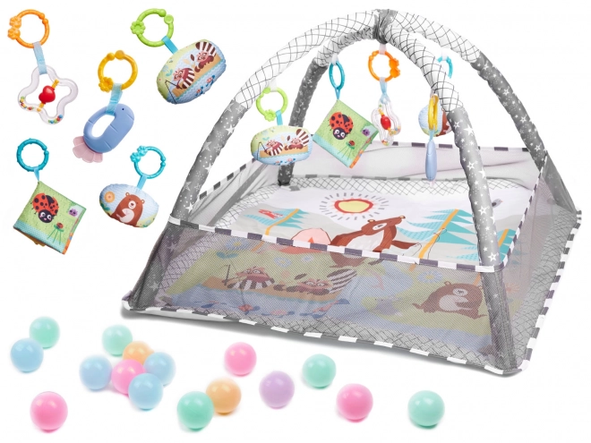 Educational Baby Mat with Arch and Ball Pit