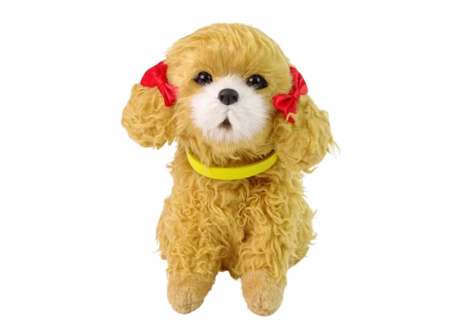 Interactive Plush Poodle Puppy