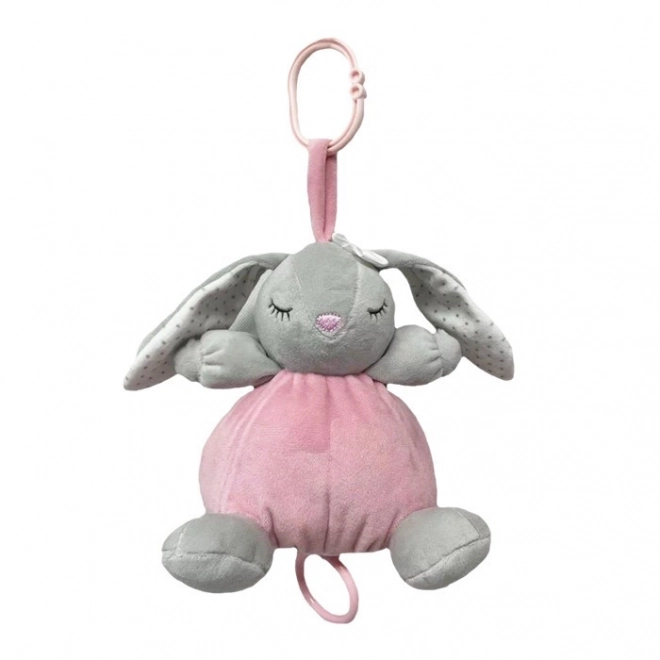 Musical Bunny Toy