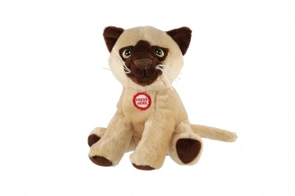 Plush Cat Toy with Sound 15cm