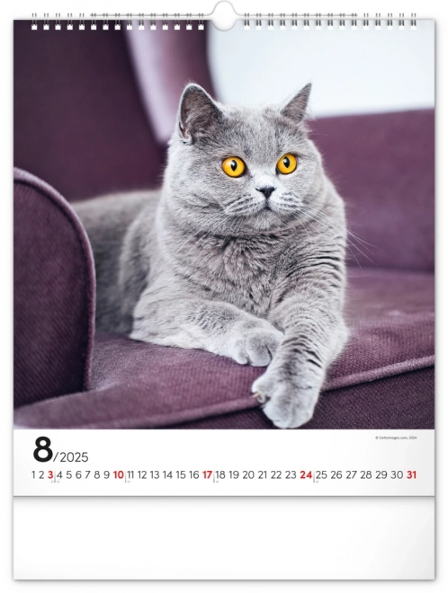 Wall Calendar Cats 2025