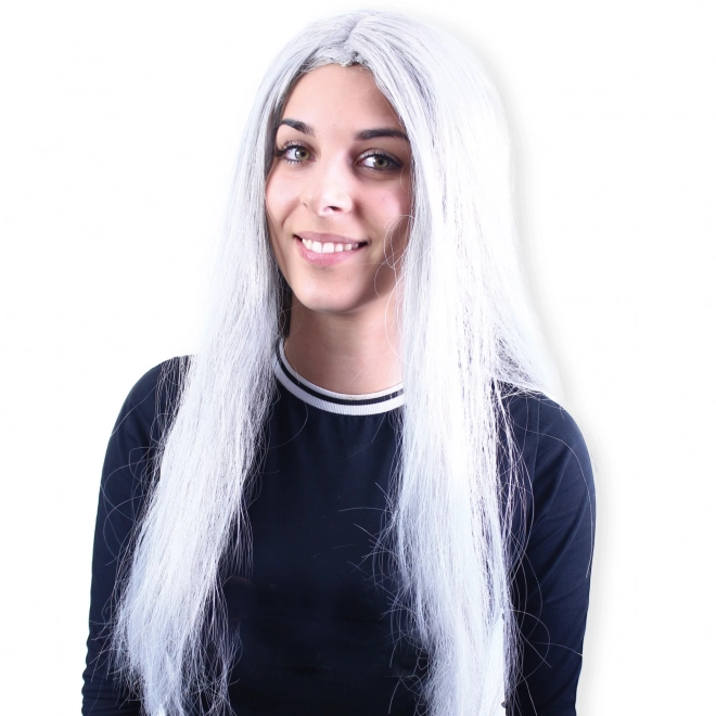 Silver Witch Wig for Adults