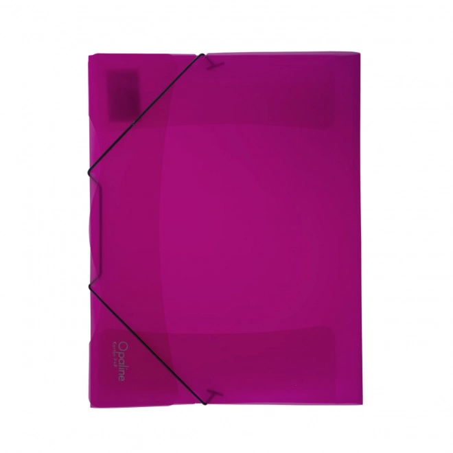 Expanding File Folder with Elastic Band in Magenta