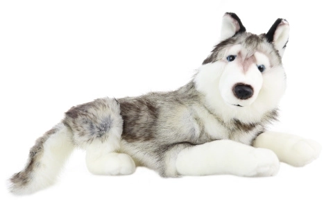 Large Plush Husky 100 cm