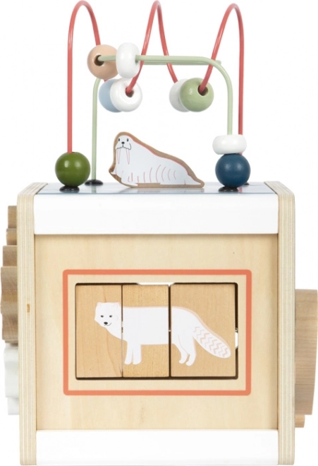 Motor Skills Cube Arctic Animals