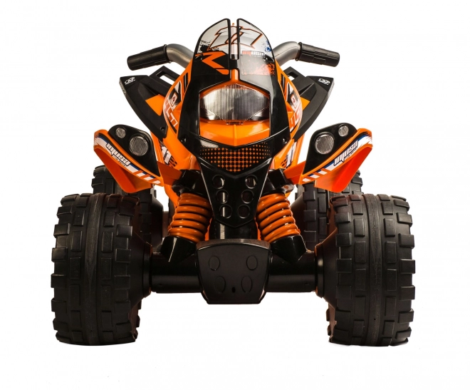 Electric Children's Quad Bike The Beast 6V by Injusa