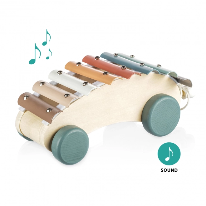 Wooden Pull-Along Xylophone for Kids