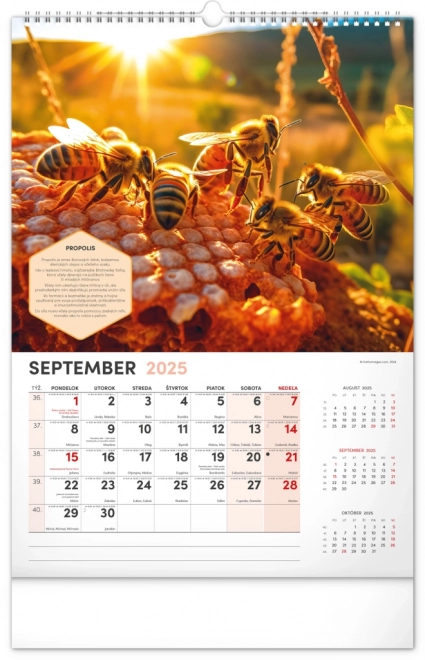 Wall Beekeeper Calendar 2025