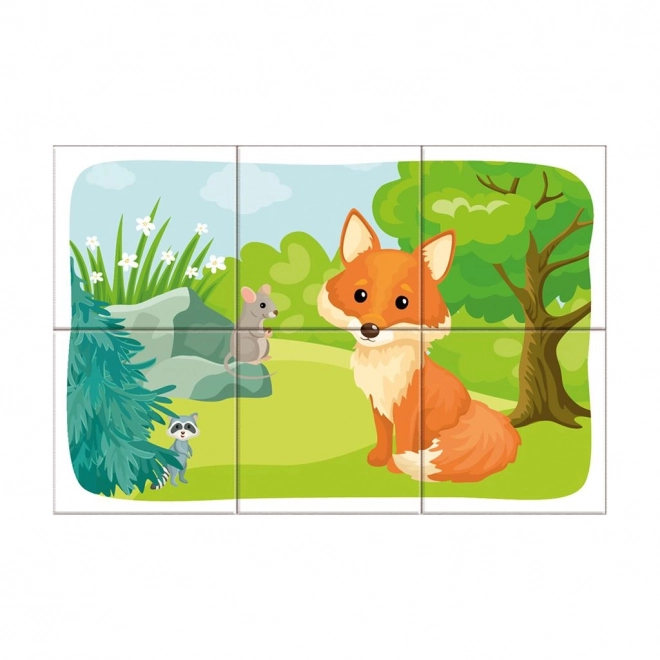 Forest Animals Picture Blocks