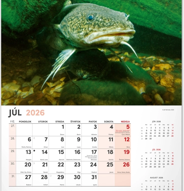 Wall Calendar Fishing 2026