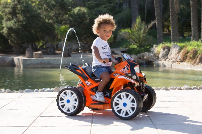 Electric Children's Quad Bike The Beast 6V by Injusa