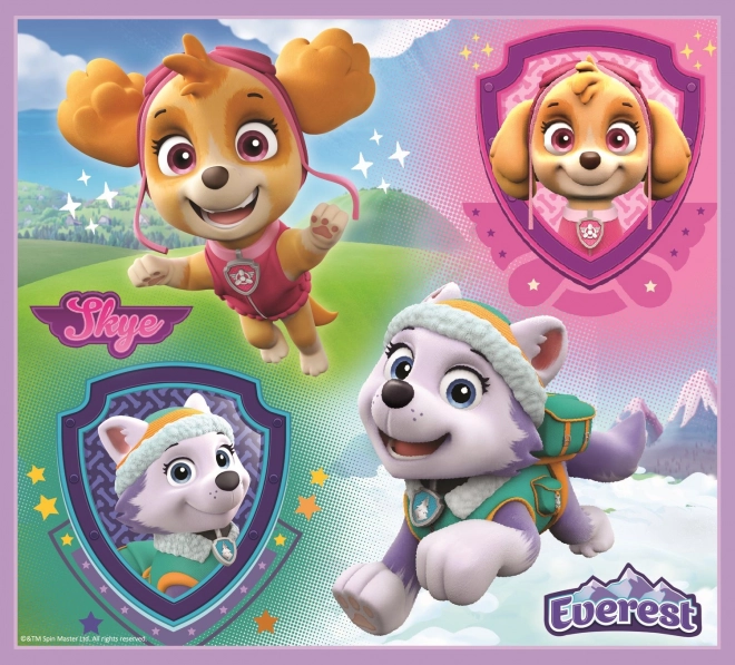 Paw Patrol Spot the Difference Puzzle Set 4-in-1