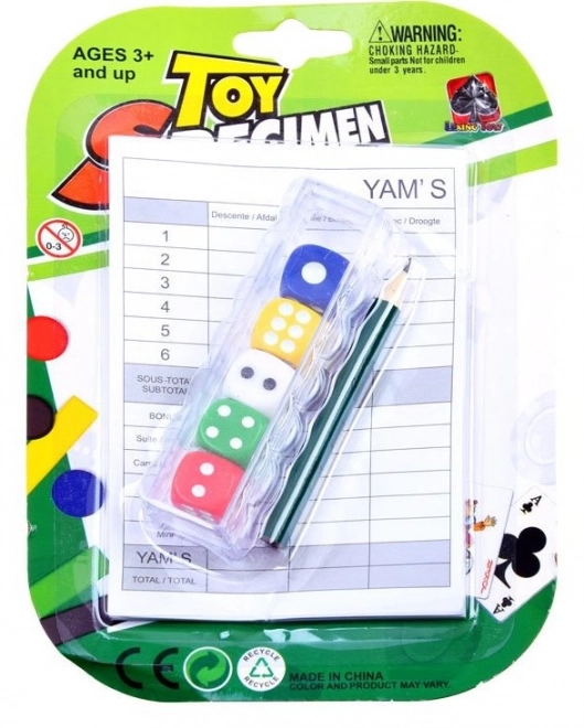 Colorful Dice Set with Note Accessories