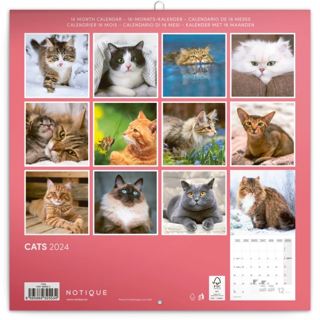 Cat Wall Calendar 2024