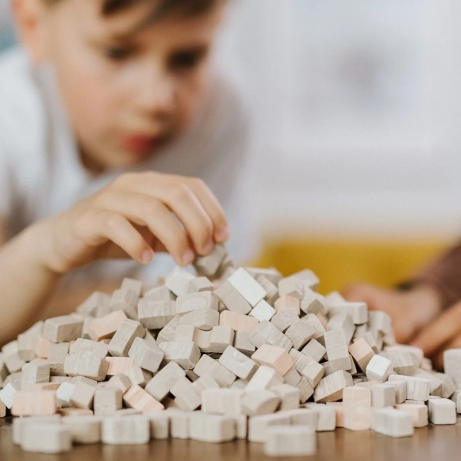 Trefl Brick Trick Build Your Own Pyramid