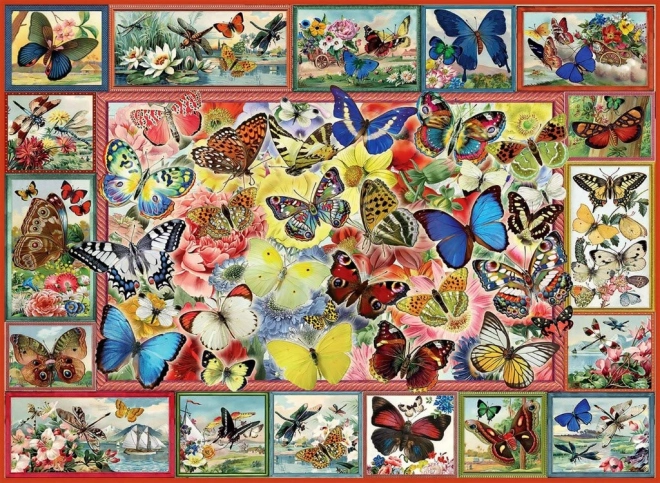 Anatolian Butterfly Puzzle 1000 Pieces