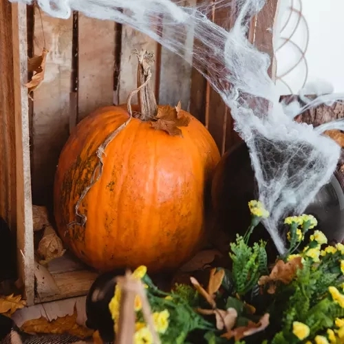 Artificial Halloween Spider Web with Spiders