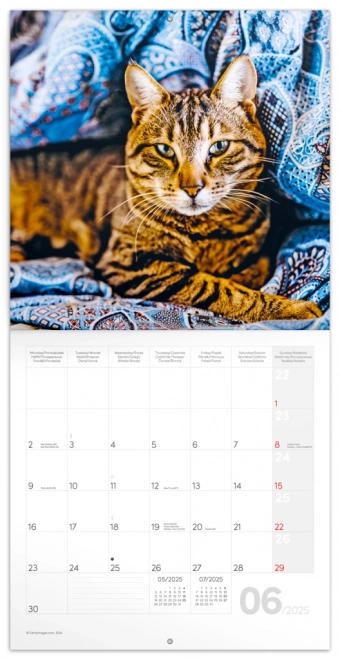 Notique Cat Lovers Monthly Calendar 2025