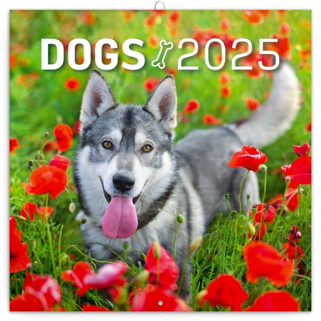 Notique Dog Themed Wall Calendar 2025