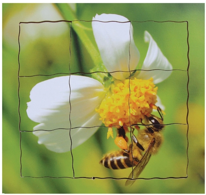 Bee Lifecycle Wooden Layered Puzzle