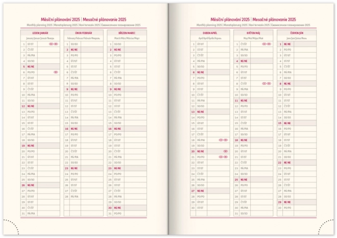 Notique Daily Planner Vellum 2025 Orange