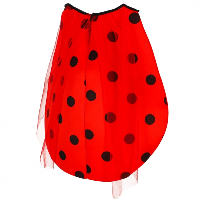 Children's Ladybug Costume