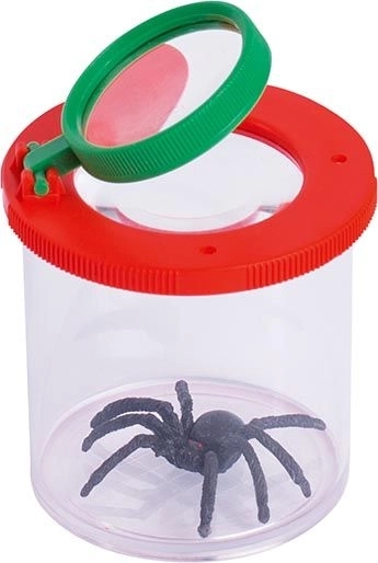 Insect Observation Container with Magnifier