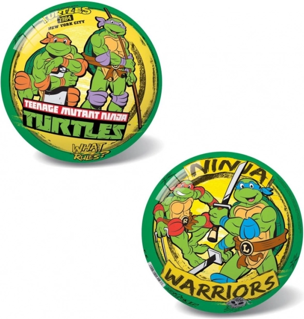 Ninja Turtles Ball Retro 23 cm