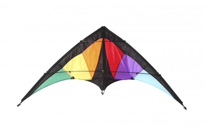 Dragon Sports Kite