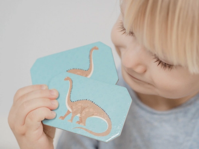 Captain Smart - Dinosaur Memory Game